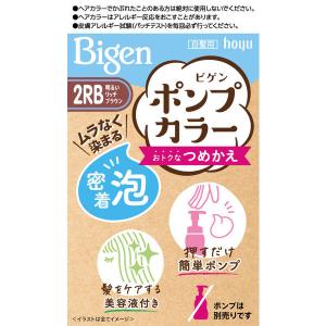 ブローネ ワンプッシュカラー 2 より明るいライトブラウン ( 80g