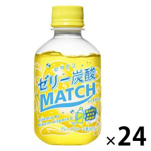 大塚食品 マッチゼリー 260g 1箱（24本入）