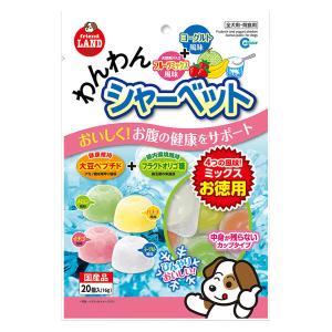 犬 おやつ CABALLO 無添加 無着色 馬アキレスハードロング500g 業務用