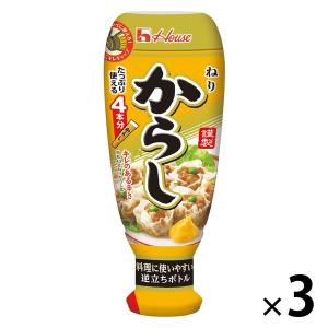 ハウス食品 ねりからし 3個