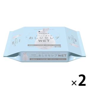河野製紙 ティッシュ ティッシュペーパー ボックスティッシュ 箱