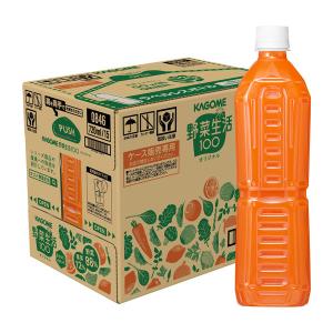 ノニリーフティー〈微粉末/スティックタイプ〉 1箱(1g×28包入り