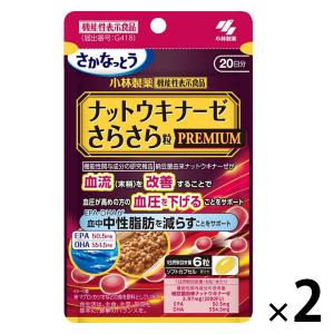 野口医学研究所 イチョウ葉＆DHA・EPA サプリ ( 60粒入 ) : 爽快