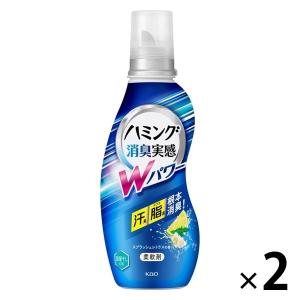 【アウトレット】ハミング 消臭実感 Wパワー スプラッシュシトラスの香り 本体 530ml 1セット（2個入） 柔軟剤 花王　抗菌　花粉ブロック