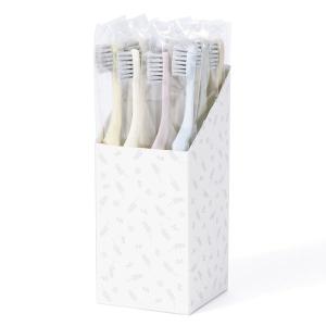 【ロハコ先行販売】 歯科医推奨 エコデント ライスレジン歯ブラシ ふつう 大人・子供向け 6色アソート 1セット（12本入）ラピス 限定