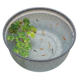 メダカ飼育ケース深緑36L オーバーフローメッキフィルター付き めだか