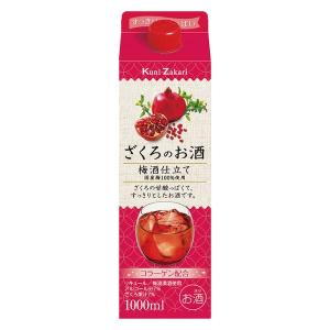 キング醸造 ジンジャーサワーの素 リキュール 20度 500ml×8本 Amazon.co.jp: HiNODE ジンジャーサワーの素 [国産素材サワー