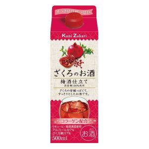 國盛 ざくろのお酒 梅酒仕立て パック　500ml 1本 中埜酒造　リキュール｜LOHACO by アスクル