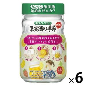 宝酒造 35度ホワイトタカラ「果実酒の季節」エコペット4L×1ケース（全4