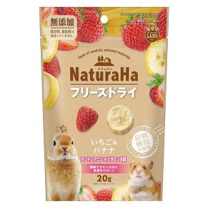 8in1 FerretVite 高カロリービタミンペースト 120g 8in1 エイト イン ワン フェレット バイト 高カロリー ビタミン