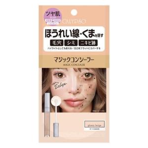 カリプソ マジックコンシーラー サーモンベージュ ( 6g )/ : 爽快