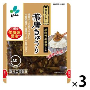 葉唐きゅうり 九州産本醤油使用 90g 1セット（1個×3）新進 漬物 ごはんのお供