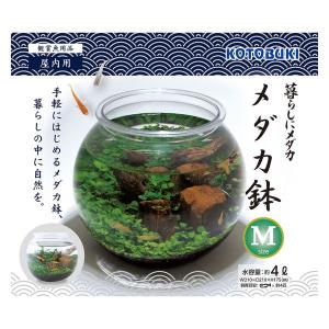 メダカ鉢M 観賞魚用水槽 寿工芸（店舗受取のみ） : ホームセンター