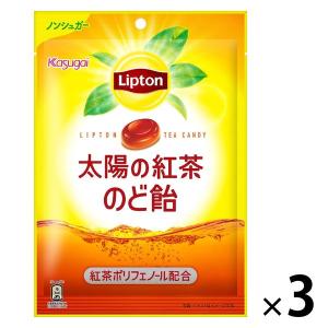 リプトン様 送料分 リプトン レモンティーパウダー ( 400g )/ リプトン(Lipton
