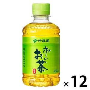 お〜いお茶 伊藤園 緑茶 600mlPET×48本[24本×2箱]【3〜4営業日以内に