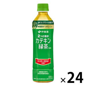 伊藤園（ITO EN） 2つの働きカテキン緑茶 500ml×24本 (1ケース)【特定