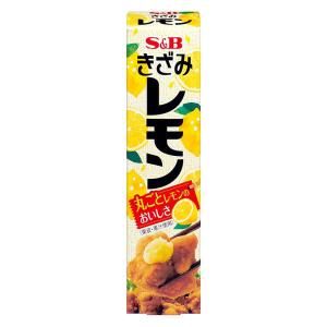 【アウトレット】エスビー食品 S＆B きざみレモン 1個 チューブ
