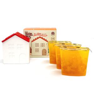 コバエ取り 捕獲器 コバエがホイホイ 赤い屋根のおうち 1個（容器+取り替え 3個） 置き型  アース製薬 限定