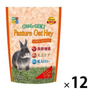American Pet APD（アメリカンペットダイナー） チモシーゴールドヘイ
