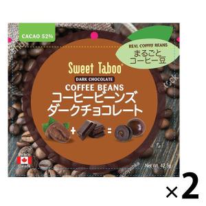 【アウトレット】コーヒービーンズ ダークチョコレート 42.5g 1セット（2個） アールビー・フーズ