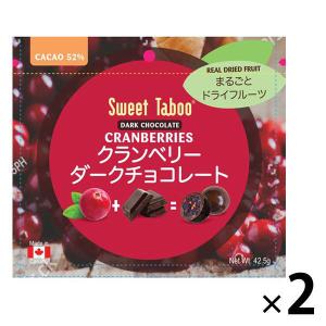 【アウトレット】クランベリー ダークチョコレート 42.5g 1セット（2個） アールビー・フーズ