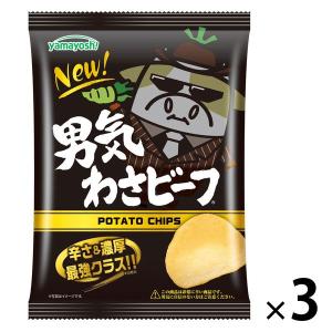 山芳製菓 ポテトチップス 男気わさビーフ 45g 3袋 スナック菓子