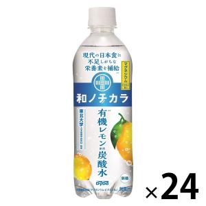 炭水化物大好きさん専用 セット販売》 サンガリア ＜ケース＞くらしリズム強炭酸水