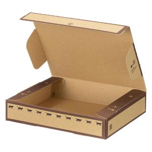 宅急便コンパクト専用ダンボール箱 外寸法：縦20cm×横25cm×厚さ5cm 1セット（1梱包（20枚入）×5） アスクル オリジナル