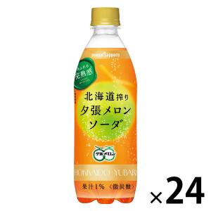 pokka sapporo（ポッカサッポロ） 北海道搾り 夕張メロンソーダ 500ml