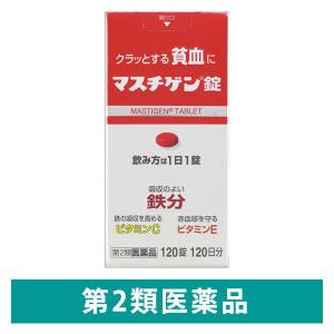 マスチゲン錠 120錠入（120日分）日本臓器製薬 貧血 鉄分配合【第2類医薬品】｜LOHACO by アスクル