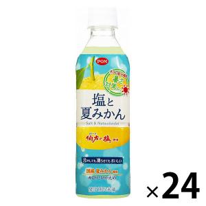 【アウトレット】えひめ飲料　POM　塩と夏みかん　490ml　1箱（24本入）｜LOHACO by アスクル