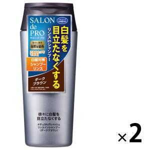 サロンドプロ リンスインシャンプー ナチュラルグレイッシュ 白髪用 ダークブラウン 2個 ダリヤ
