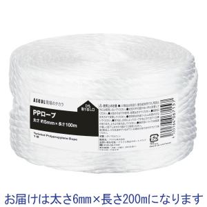 アスクル PPロープ 6mm×200m PPR6-200 1巻 オリジナル｜LOHACO by アスクル
