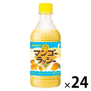 ハウス食品 キャップ付きドリンクベースマンゴーラッシー800g業務用×6個セット ハウス食品 キャップ付きドリンクベース プレーンラッシー 800g 業務用