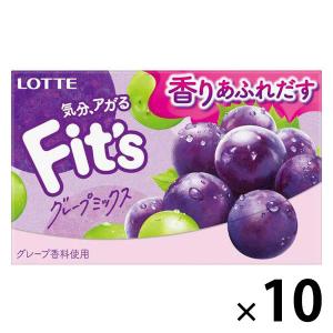 【アウトレット】Ｆｉｔ’ｓ＜グレープミックス＞ 1セット（10個入）｜LOHACO by アスクル