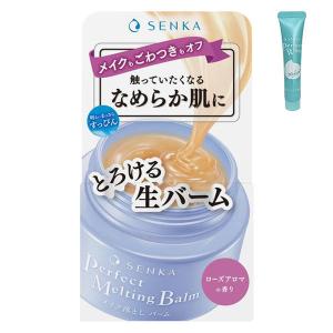 はじめてセット 専科 パーフェクトメルティングバーム 90g + パーフェクトホイップ アクネケア ミニチューブ 15g