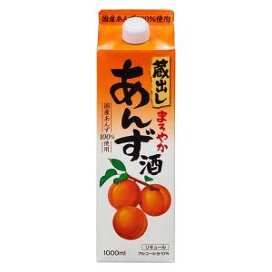 【アウトレット】東亜酒造 蔵出し まろやかあんず酒 1000ml 1本