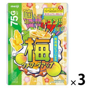 NOBEL カチカチちびカメカメサワーズグミ フルーツアソート 70g