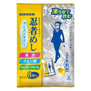 激レア！忍者アイルーでかストラップ　UHA味覚糖キャンペーン当選品　2012年 UHA味覚糖 忍者めし アイススラリー すっきり柑橘系味 1袋(22g×8個入