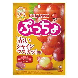 ぷっちょ　果物ストラップ　まとめ売り ぷっちょ 味覚糖 ぷっちょ袋赤いシャインマスカット 72g×6個 : おかげ