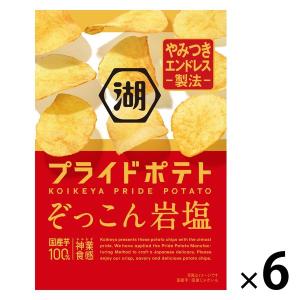 湖池屋プライドポテト ぞっこん岩塩 6袋　ポテトチップス スナック菓子 おつまみ｜LOHACO by ASKUL