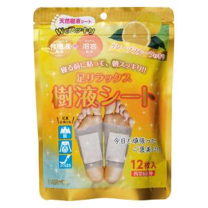 【アウトレット】エブリユー 足リラックス樹液溶岩シート（竹樹液パウダー＋溶岩粉末）グレープフルーツ｜LOHACO by アスクル