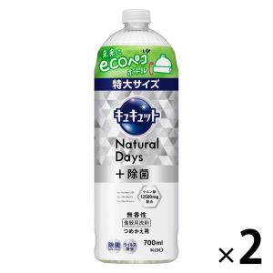 2本入 業務用 食器洗浄機用リンス剤 エコラボ エボリューション クリア