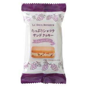 【アウトレット】スリースター製菓 たっぷりショコラサンド ラムレーズン 1セット(10個入)｜LOHACO by アスクル