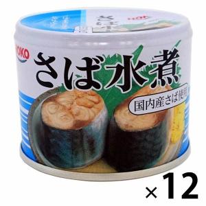 【アウトレット】宝幸 さば水煮 1セット（190g×12缶）＜国産さば 国内製造＞