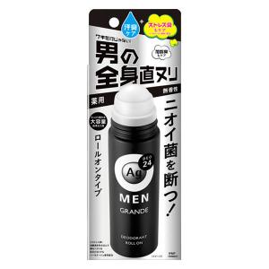 SHISEIDO（資生堂） アウスレーゼ ヘアブローN 180ml : 東京生活館