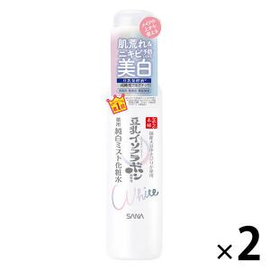 サナ なめらか本舗 薬用美白ミスト化粧水 120mL×2 常盤薬品工業