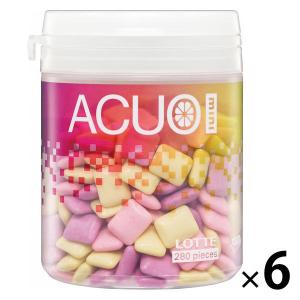【アウトレット】ロッテ ACUO(アクオ) mini＜クリアフルーツミックス＞ファミリーボトル　ガム  1セット（6個：1個×6）