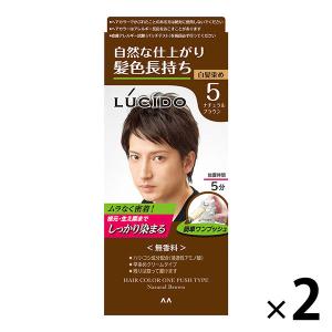 スーパーミリオンヘアー ブラック ( 30g*2コセット )/ スーパー