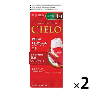 CIELO（hoyu） シエロ ヘアカラー EX クリーム 4 ライトブラウン ( 2箱